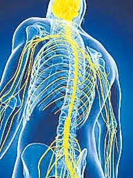 Helmet use associated with reduced risk of cervical spine injury during motorcycle crashes - Sakshi