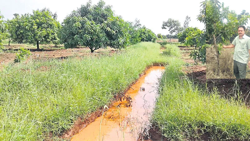 Water with trenches! - Sakshi