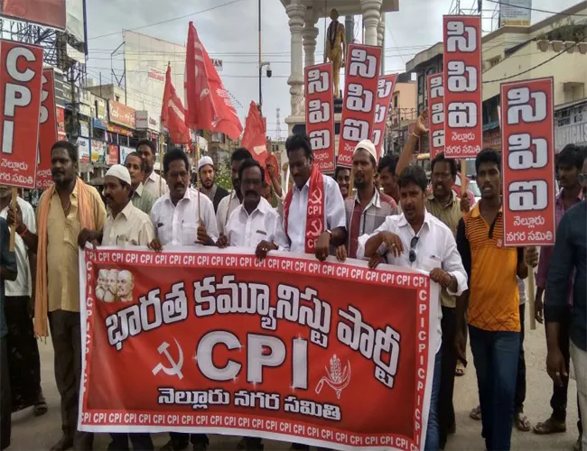 CPI Leaders Protest In Nellore For AP Special Status - Sakshi