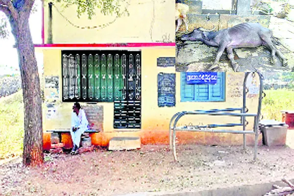 Livelihoods Mission Not Implement In YSR Kadapa - Sakshi