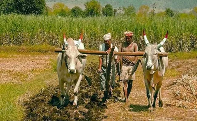 Bill Passed In The State Legislature To Get All Kinds Of Assistance To Tenant Farmers - Sakshi