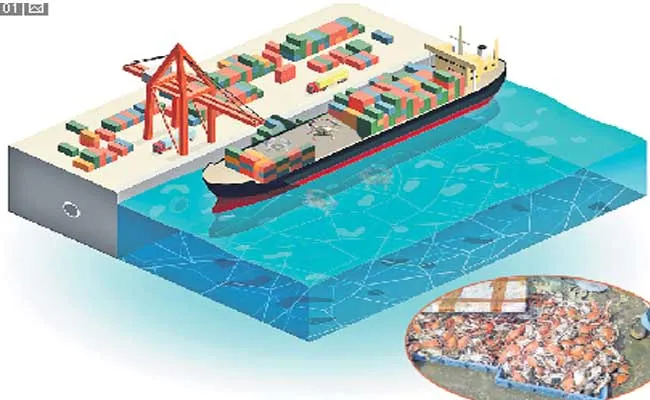 East Godavari District Fishermen Are Exporting Crabs Abroad - Sakshi