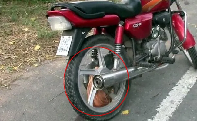 Woman Assassinated Due To Scarf - Sakshi