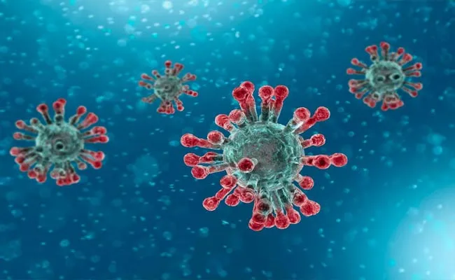 Coronavirus: Telangana Government Key Decision For Government Employees - Sakshi
