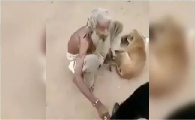 Viral Video: Beggar Feeds Street Dogs From His Plate - Sakshi