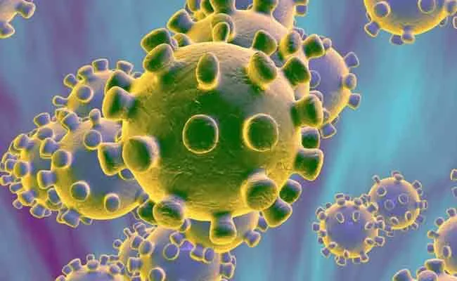 All You Need To Know About Covid19 Variants: Alpha Beta Delta Lambda And Kappa - Sakshi