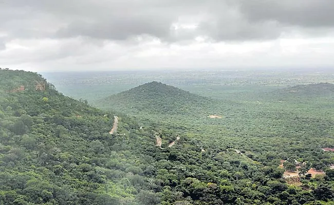 Nallamala Forest Tour Starts From November 17 - Sakshi