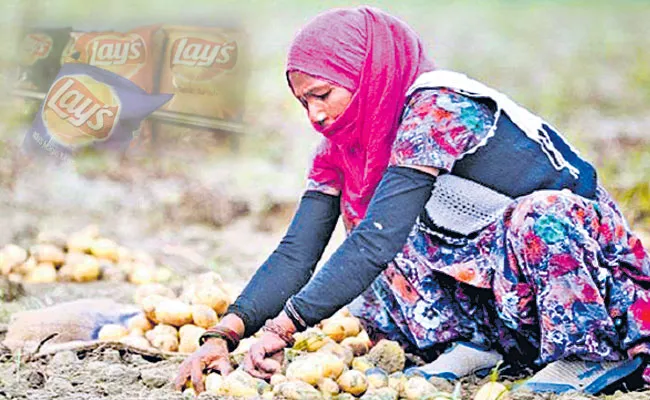 Historic Win for Farmer Seed Rights: India Revokes Patent For PepsiCo Lays Potatoes - Sakshi