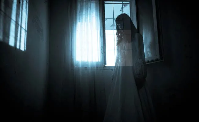 IIT Mandi Director Prof Laxmidhar Behera Says Ghosts Exist - Sakshi