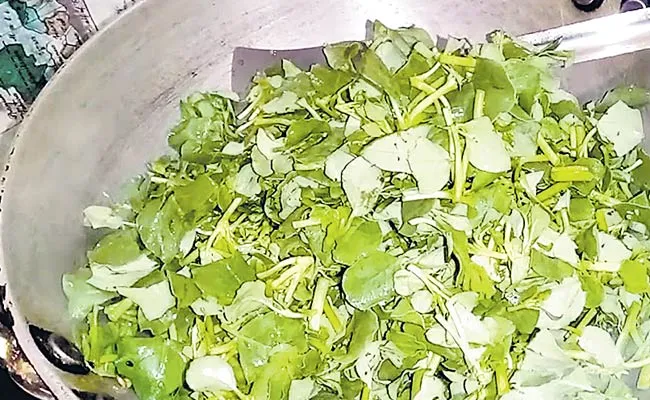 Top 20 Amazing Health Benefits Of Galijeru Aaku Punarnava In Telugu - Sakshi