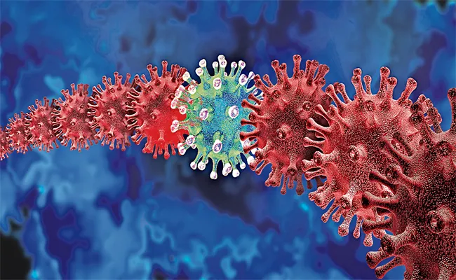 The Corona Virus Is Booming Day By Day In The Greater Districts - Sakshi