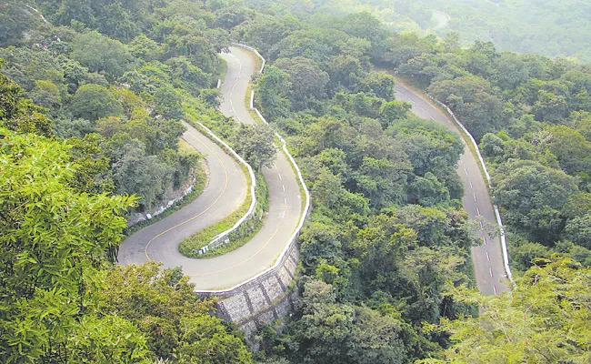 Forest resources that will bring vannet to new district - Sakshi