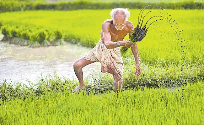 Devinder Sharma Article on Bank Behaviour On Farmers Loans - Sakshi