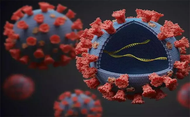 BA5 Omicron sub variant deemed immune by vaccine can re infect Covid patients within weeks - Sakshi