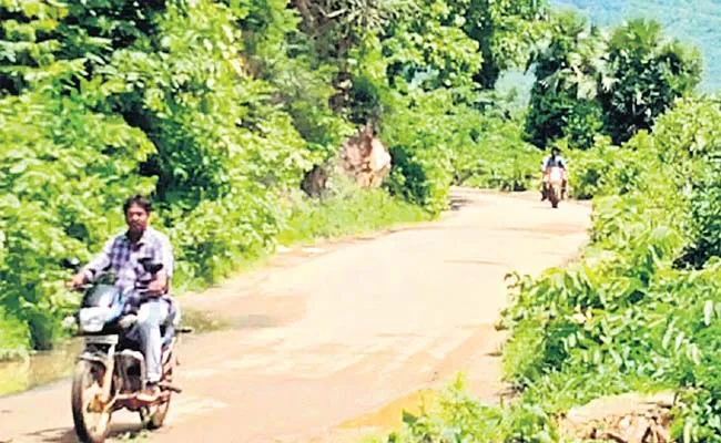 Forest Area Villages People Trembling Due To Fear Of The Tiger - Sakshi