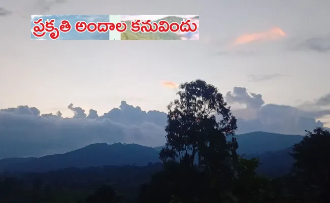 Beautiful Sunrise in Vanjangi Hills, Araku Valley Tourists Must Visit - Sakshi