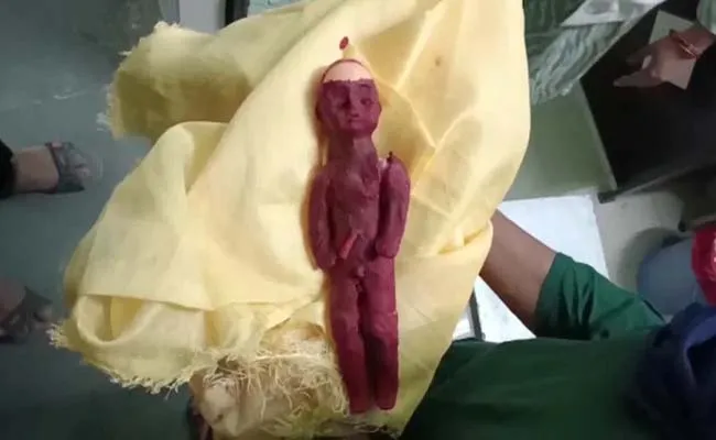 Woman Fake Pregnancy After Six Months Claiming Birth To Plastic Doll - Sakshi