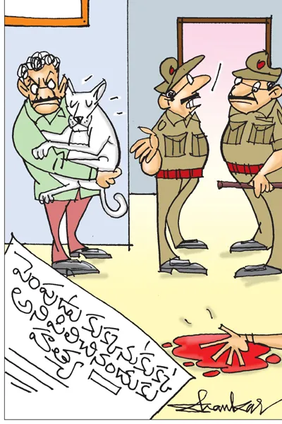 Sakshi Cartoon Pet Dog Incident