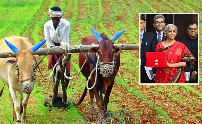 Union Budget 2023 Agriculture Accelerator Fund massive decentralised storage and all FM - Sakshi