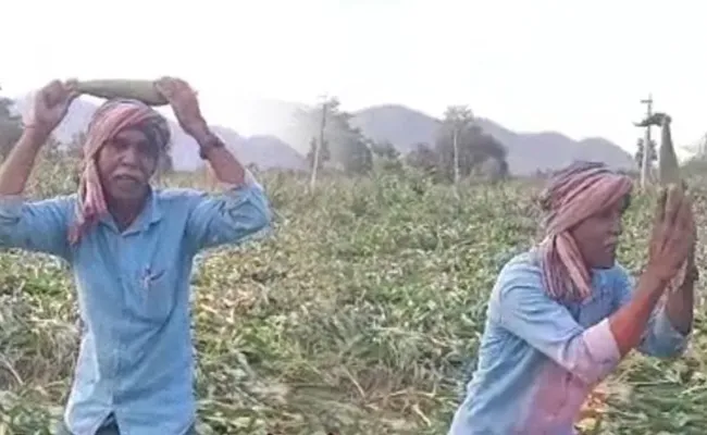 Bhadradri Yellandu Farmer Viral Song On Unseasonal Rains And Loss - Sakshi