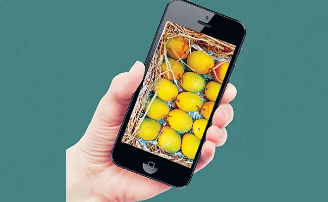 The new trend in business is social media - Sakshi