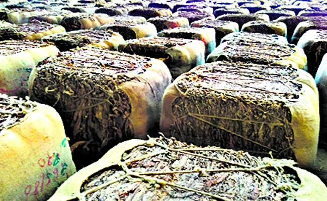 Virginia tobacco rate high - Sakshi