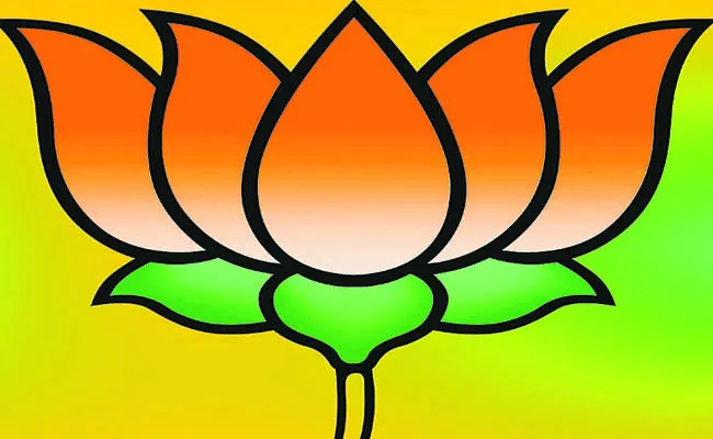 New leaders in BJP are not in a good situation - Sakshi