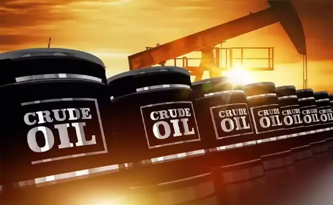 If Crude Wasnt Improted From Russia Inflation May High - Sakshi