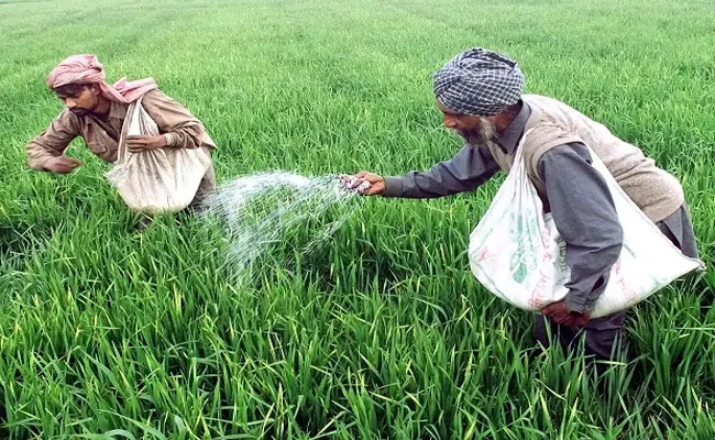Cabinet approves Rs 24,420 crore fertilizer subsidy for 2024 - Sakshi