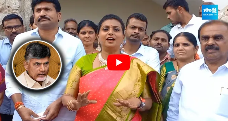 Minister RK Roja Comments On Chandrababu Delhi Tour