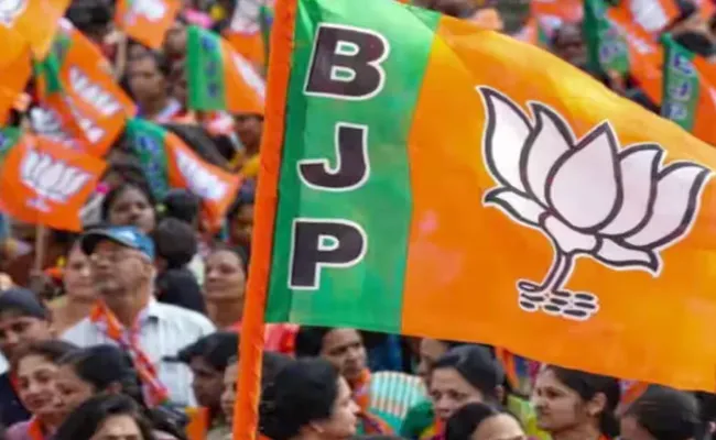 Lok Sabha elections 2024: Bjp To Release Election Manifesto On April 14 - Sakshi
