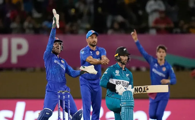 T20 WC: Afghanistan shock hapless New Zealand for historic win in Guyana
