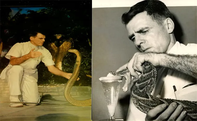 Bitten By Venomous Snakes 172 Times, But Still Survived