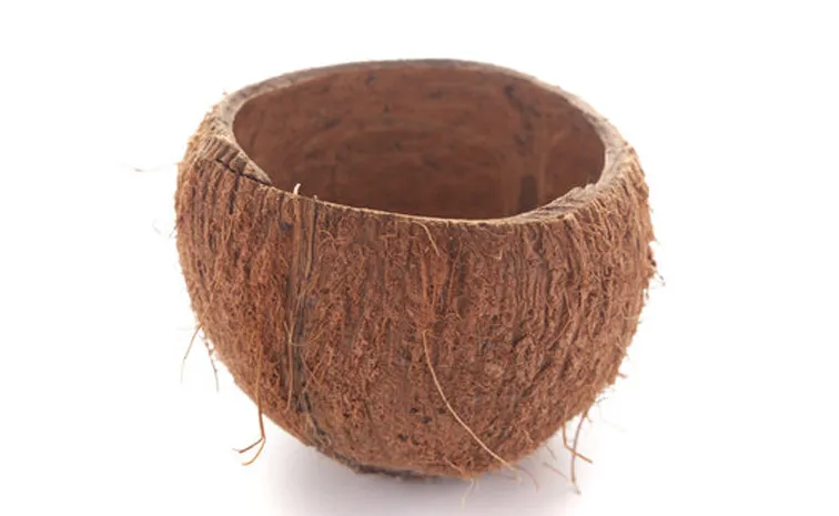 waste coconut shell now commercially valuable check where