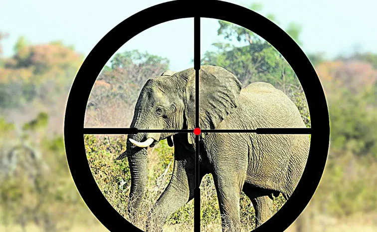 528 Unnatural deaths of elephants in five years