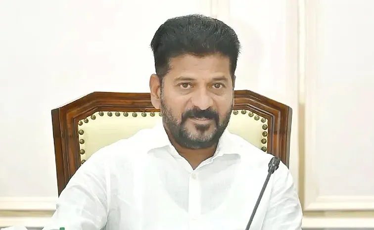 Cm Revanth Reddy Key Comments On Hydra