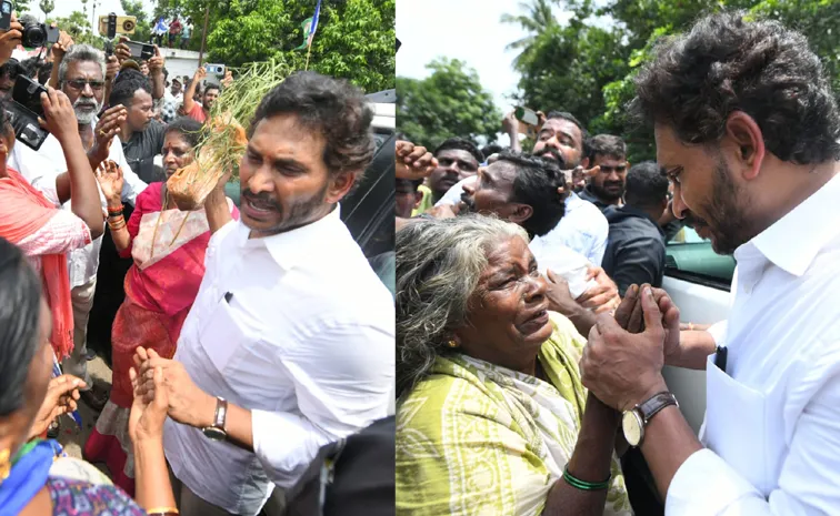 YS Jagan Pithapuram Tour Updates