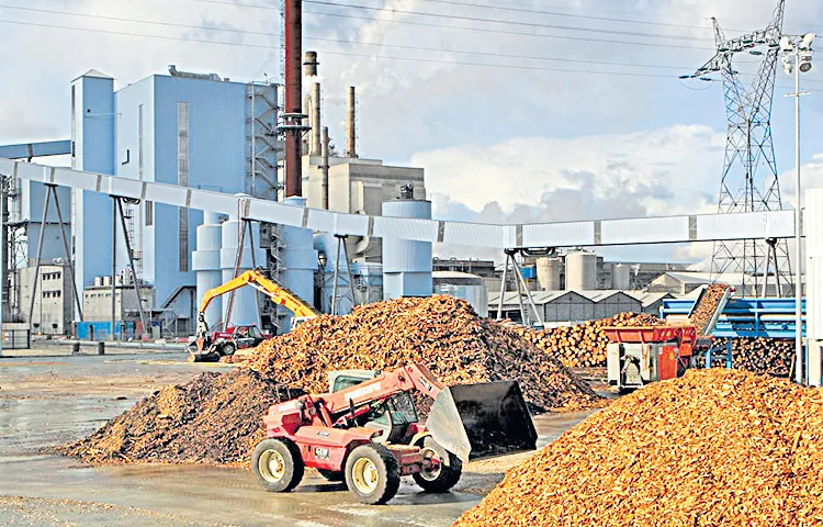 APERC fixed fuel prices for a period of five years