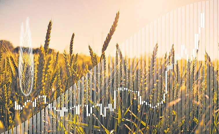 Centre revises Wheat Stock Limit for Traders, Wholesalers
