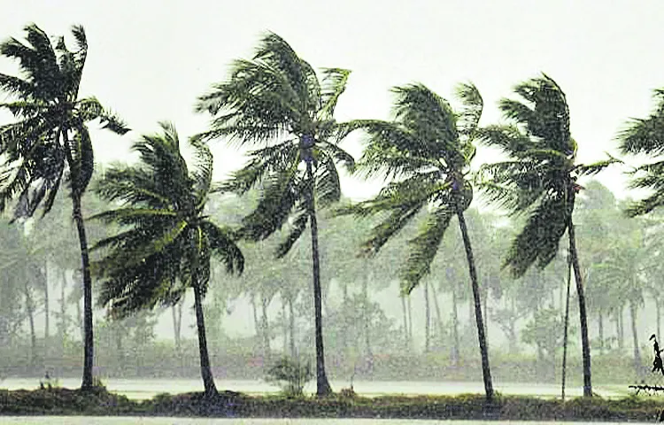 Threat of storm at the end of the month