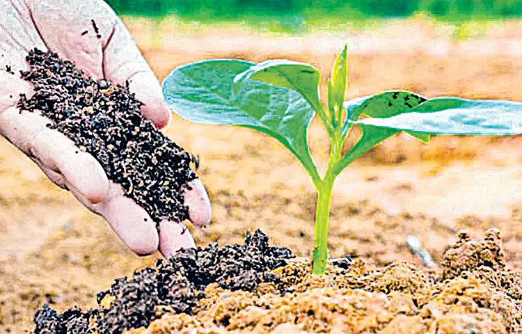 NRIs who are aware of AP nature farming practices