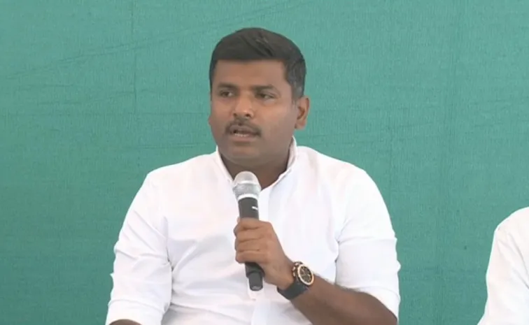 Gudivada Amarnath Fires On CM Chandrababu
