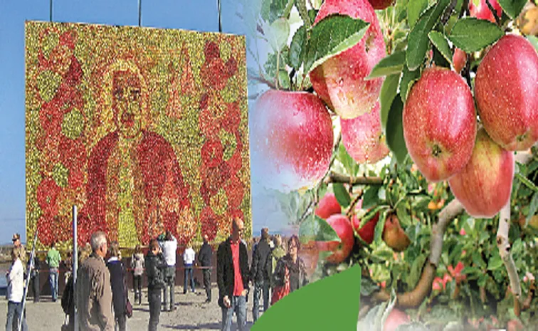 A Highlight Of The Kivik Apple Market Festival In Simrisham Municipality In Sweden