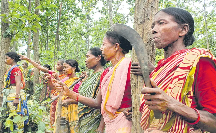 Sakshi Guest Column On Tribal land Rights