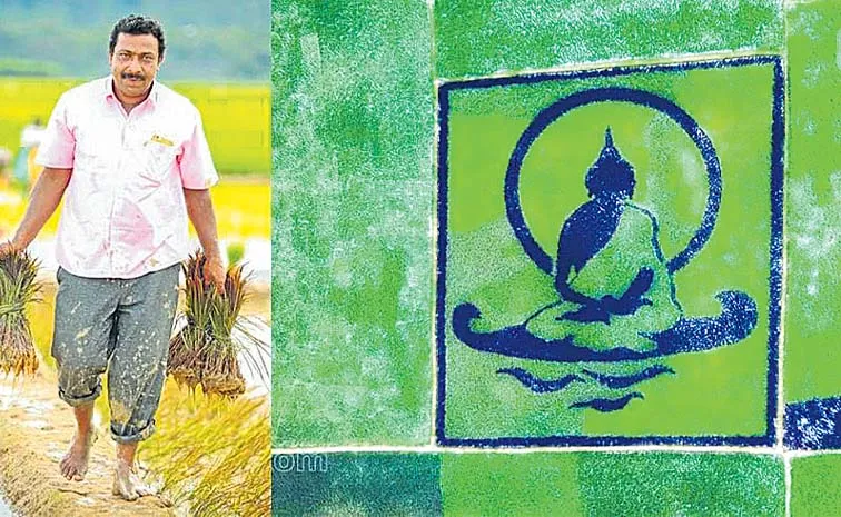 Rice Paddy Art: What Makes it So Special
