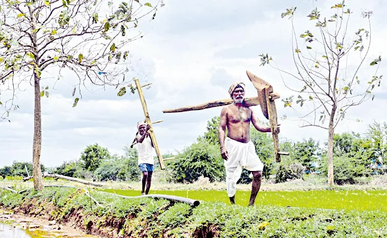Public health threat with genetically modified crops