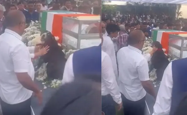 Ratan Tata's Dog Goa Meets Him For Last Time