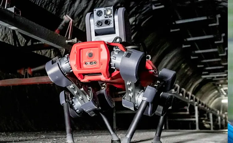 Ladder Climbing Robots newest one