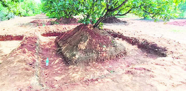 కందకం