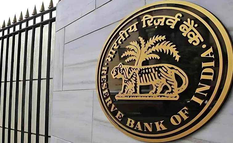 RBI Deputy Governor Cautions Small Finance Banks